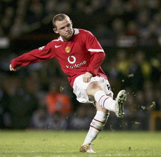 择的平衡 择的平衡